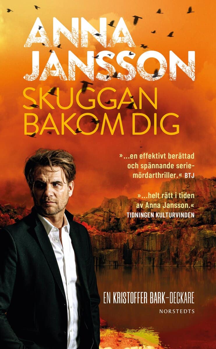 Anna Jansson : Skuggan bakom dig