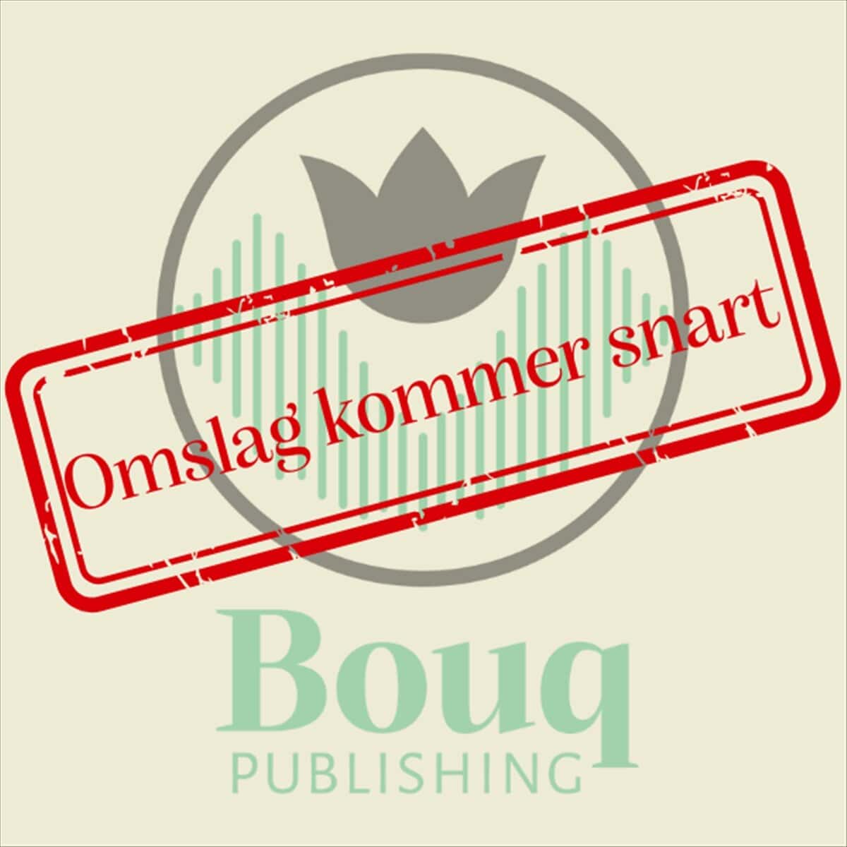 Anna Johansson : Mordet på Visingsö