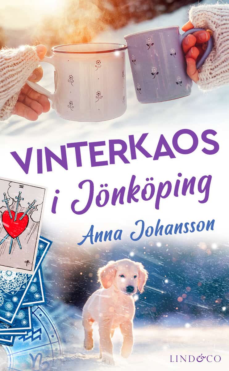 Anna Johansson : Vinterkaos i Jönköping
