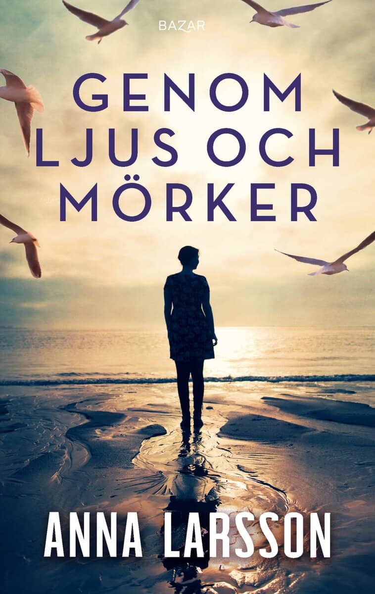 Anna Larsson : Genom ljus och mörker