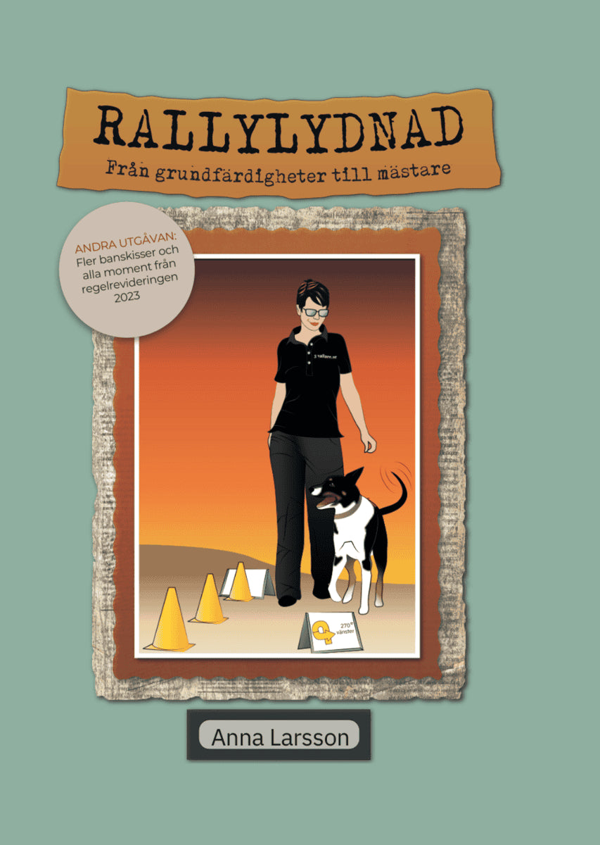 Anna Larsson : Rallylydnad : från grundfärdigheter till mästare