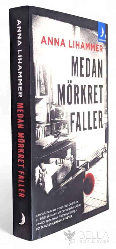 Anna Lihammer : Medan mörkret faller - Carl Hell - Bok 1
