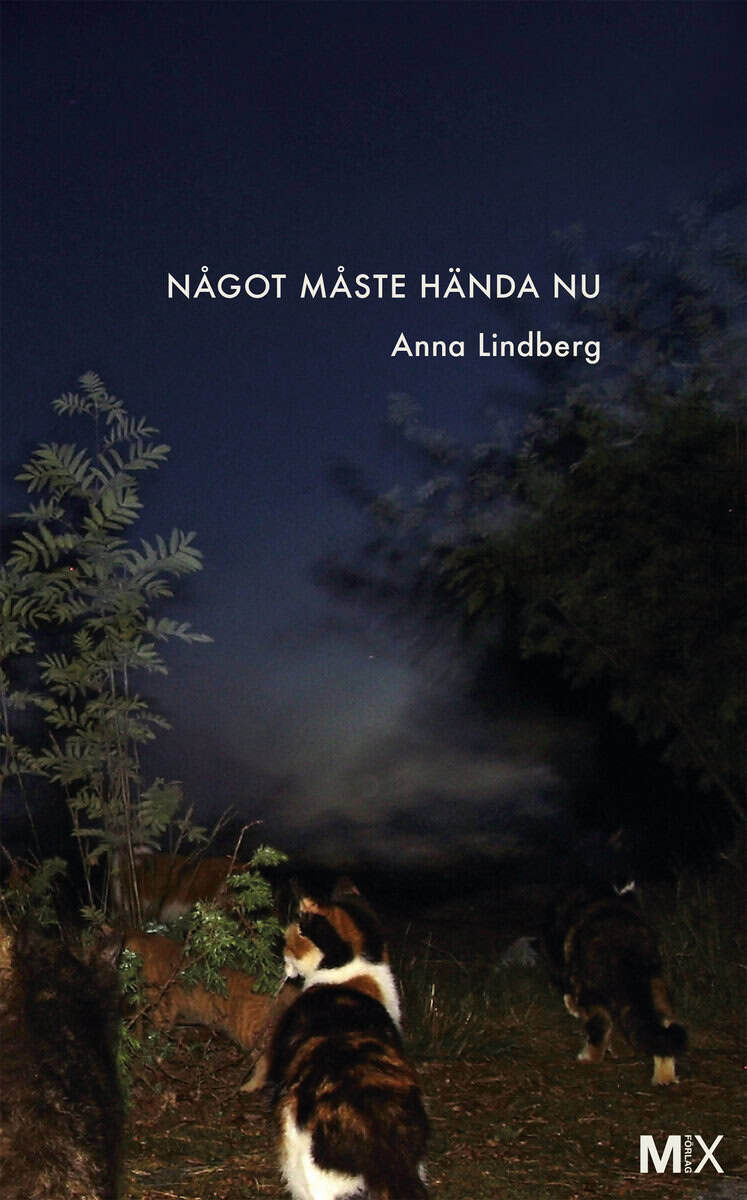 Anna Lindberg : Något måste hända nu