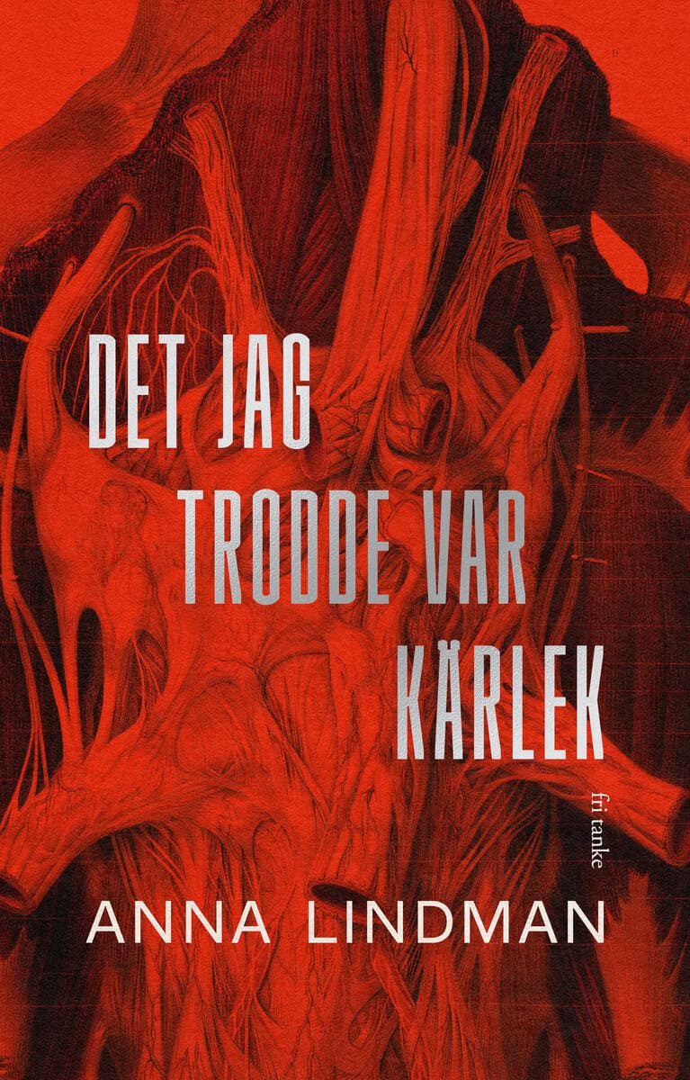 Anna Lindman : Det jag trodde var kärlek : en bok om psykiskt våld