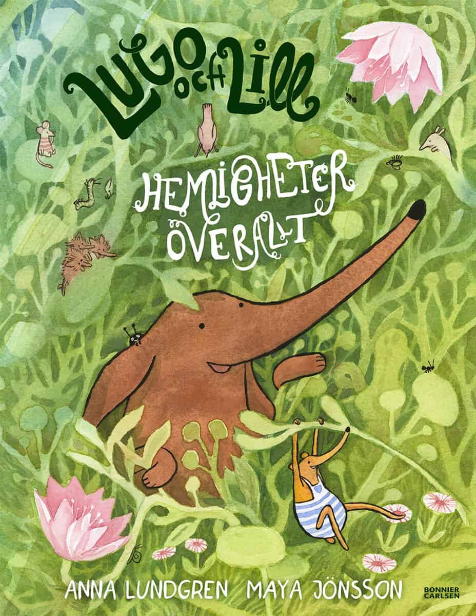 Anna Lundgren : Hemligheter överallt