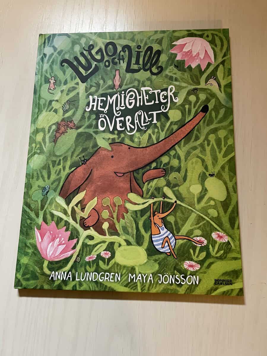 Anna Lundgren : Hemligheter överallt