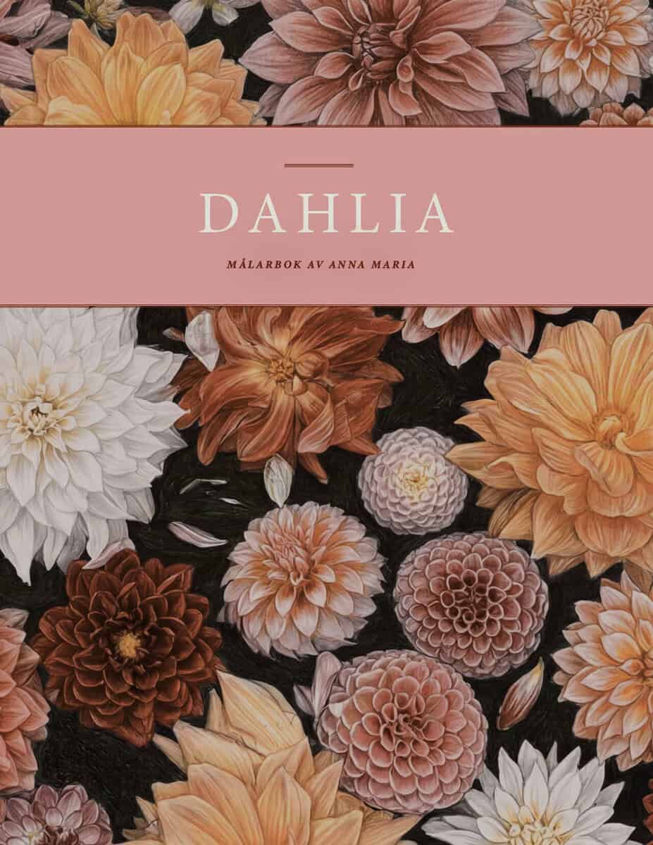 Anna Maria Setterby Angefred : Dahlia nature's wonder