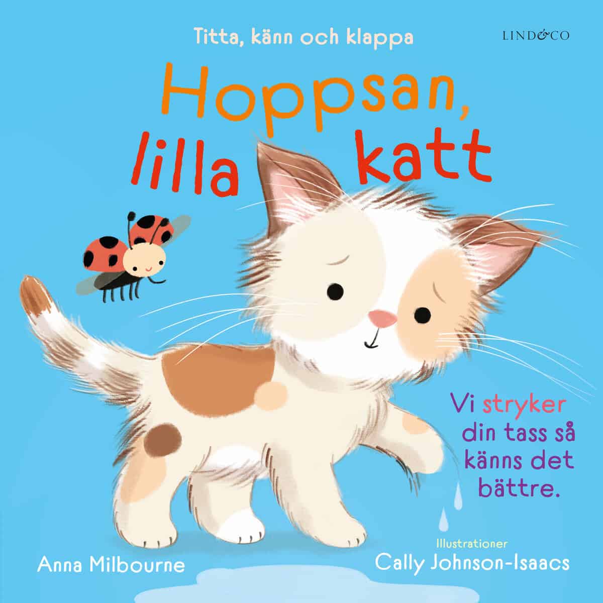 Anna Milbourne : Hoppsan, lilla katt : titta, känn och klappa