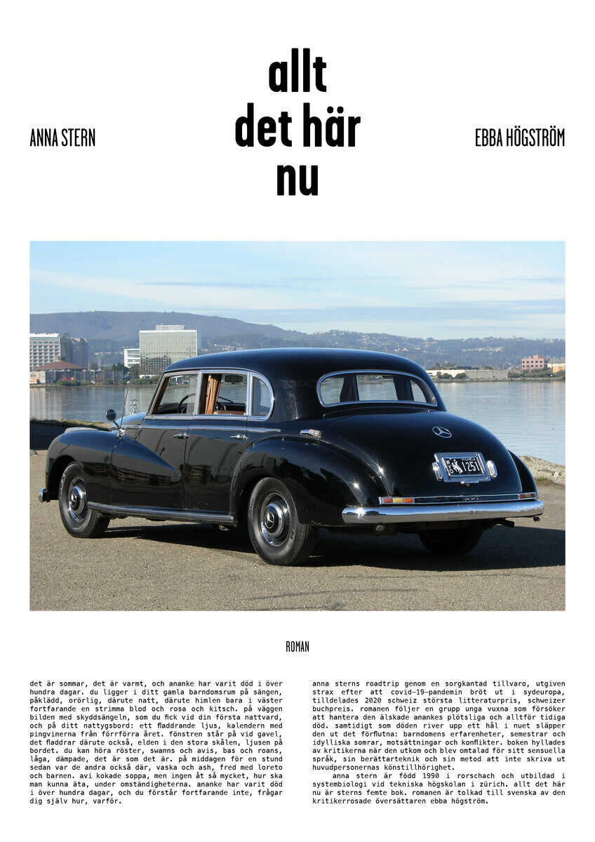 Anna Stern : allt det här nu