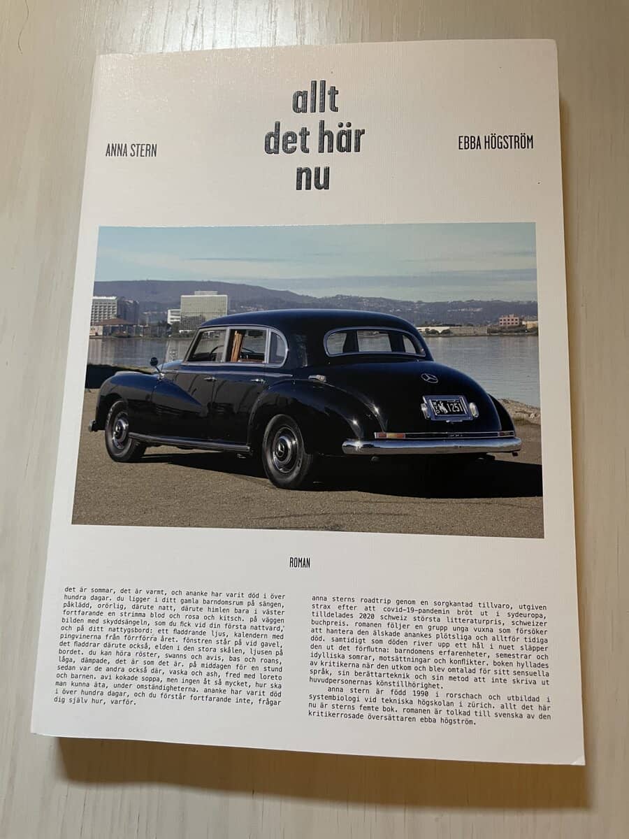 Anna Stern : allt det här nu