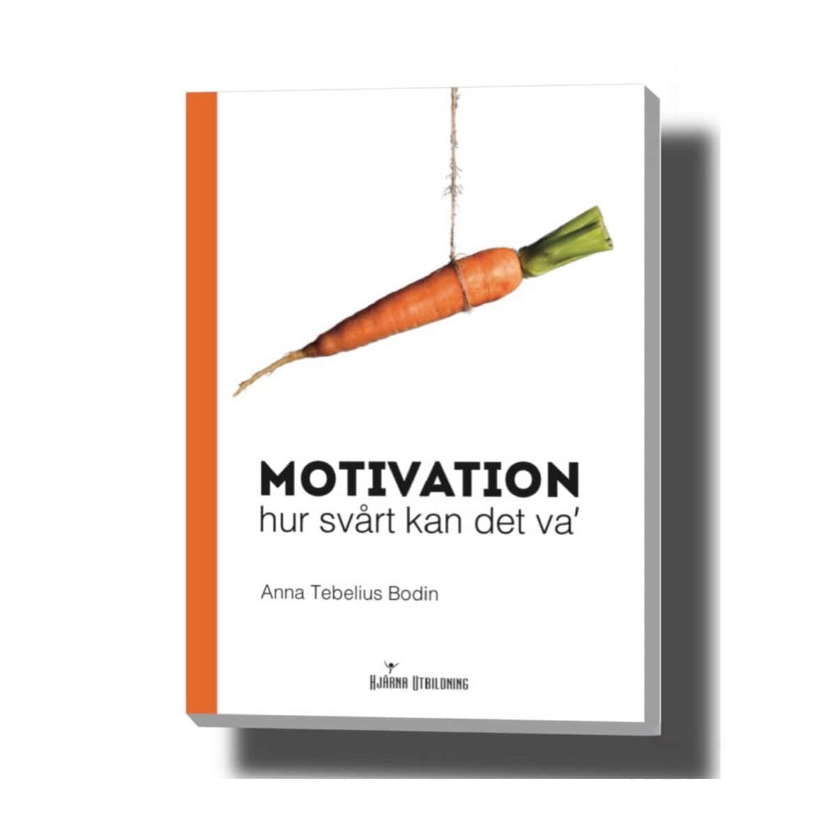 Anna Tebelius Bodin : Motivation