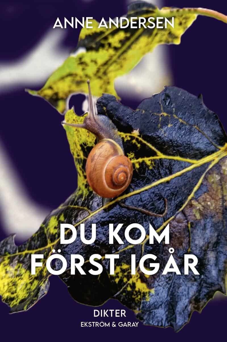 Anne Andersen : Du kom först igår