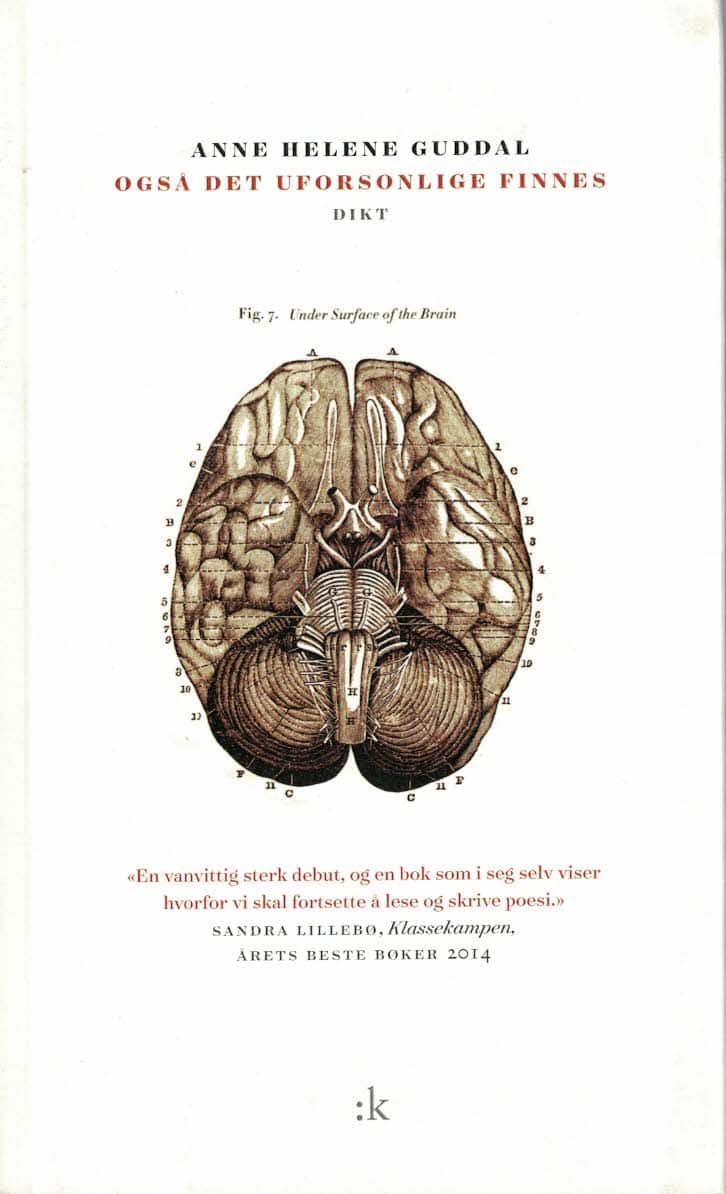 Anne Helene Guddal : Også det uforsonlige finnes