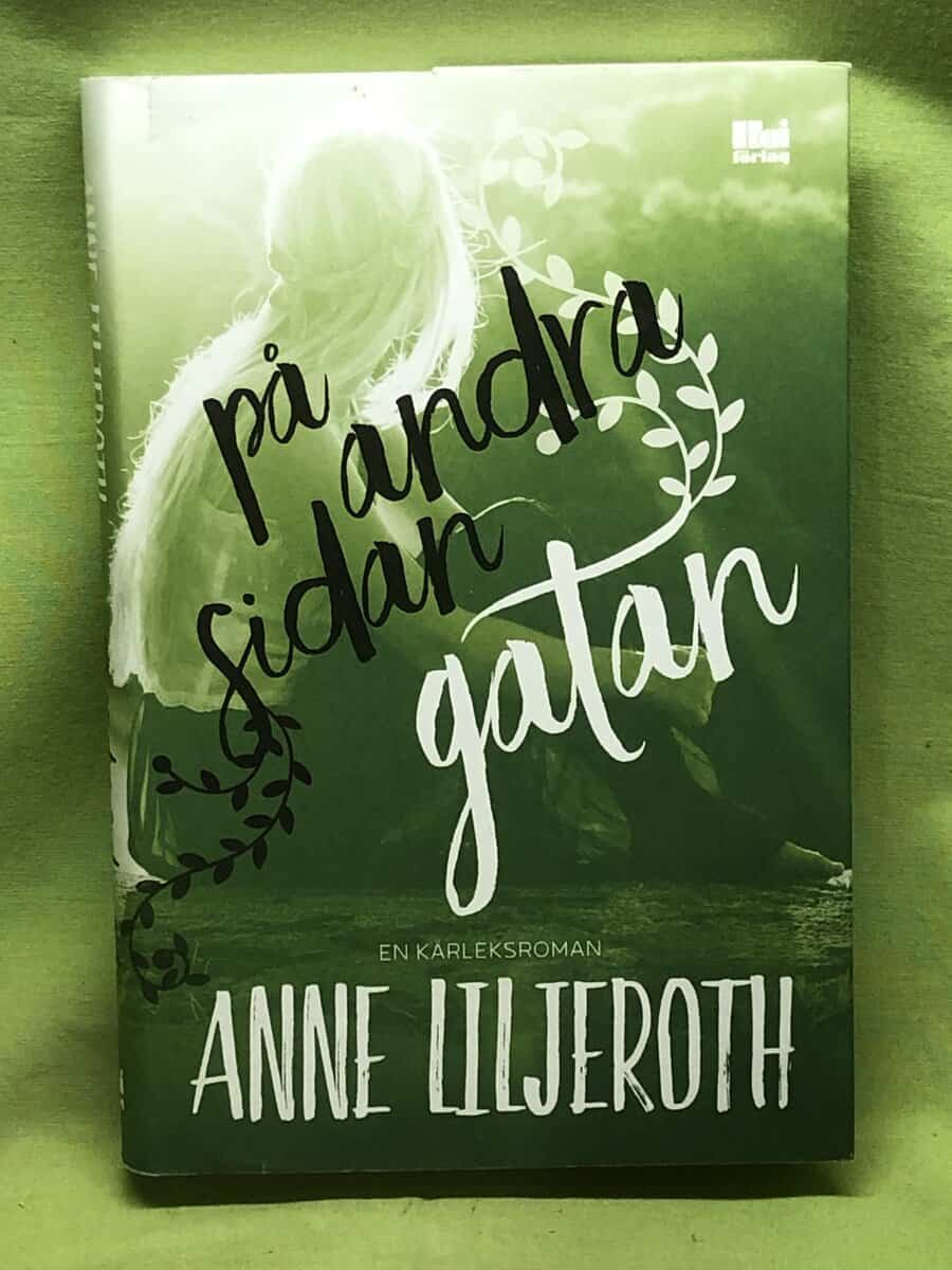 Anne Liljeroth : På andra sidan gatan