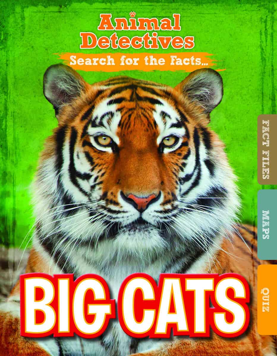 Anne O'Daly : Big Cats
