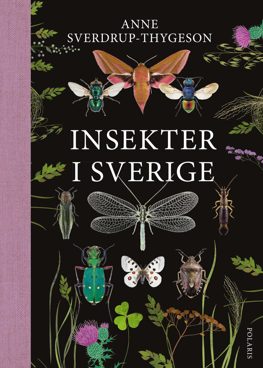 Anne Sverdrup-Thygeson : Insekter i Sverige