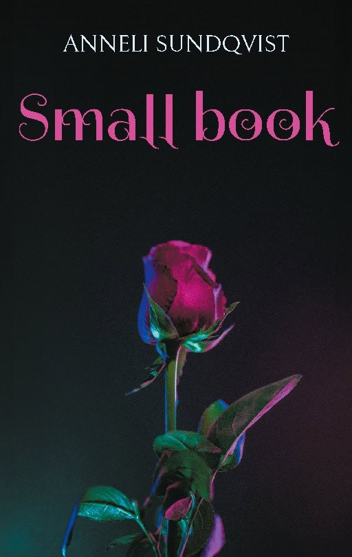 Anneli Sundqvist : Small book : little pieces