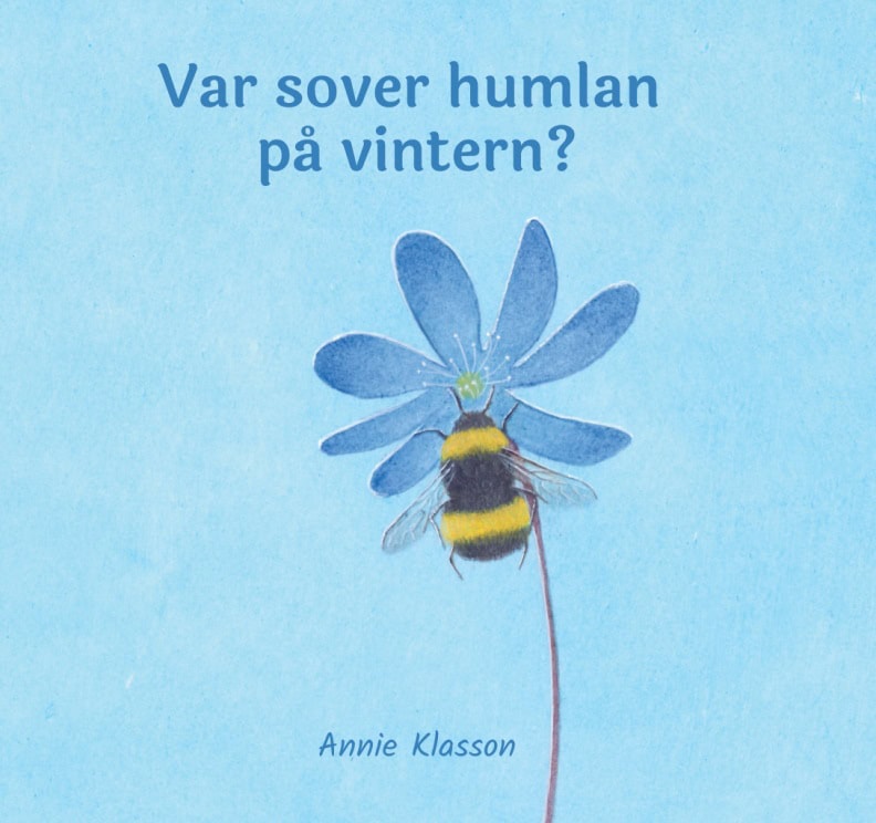 Annie Klasson : Var sover humlan på vintern?