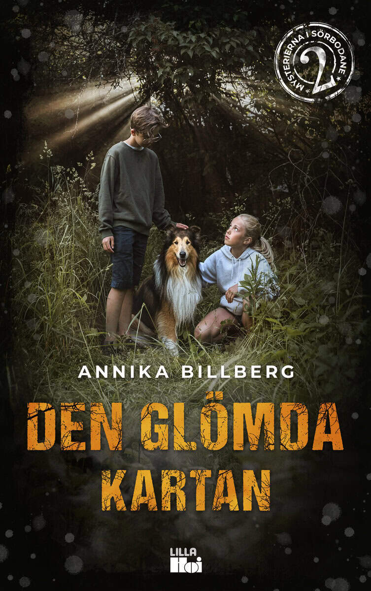 Annika Billberg : Den glömda kartan