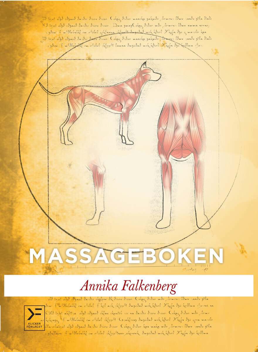 Annika Falkenberg : Massageboken