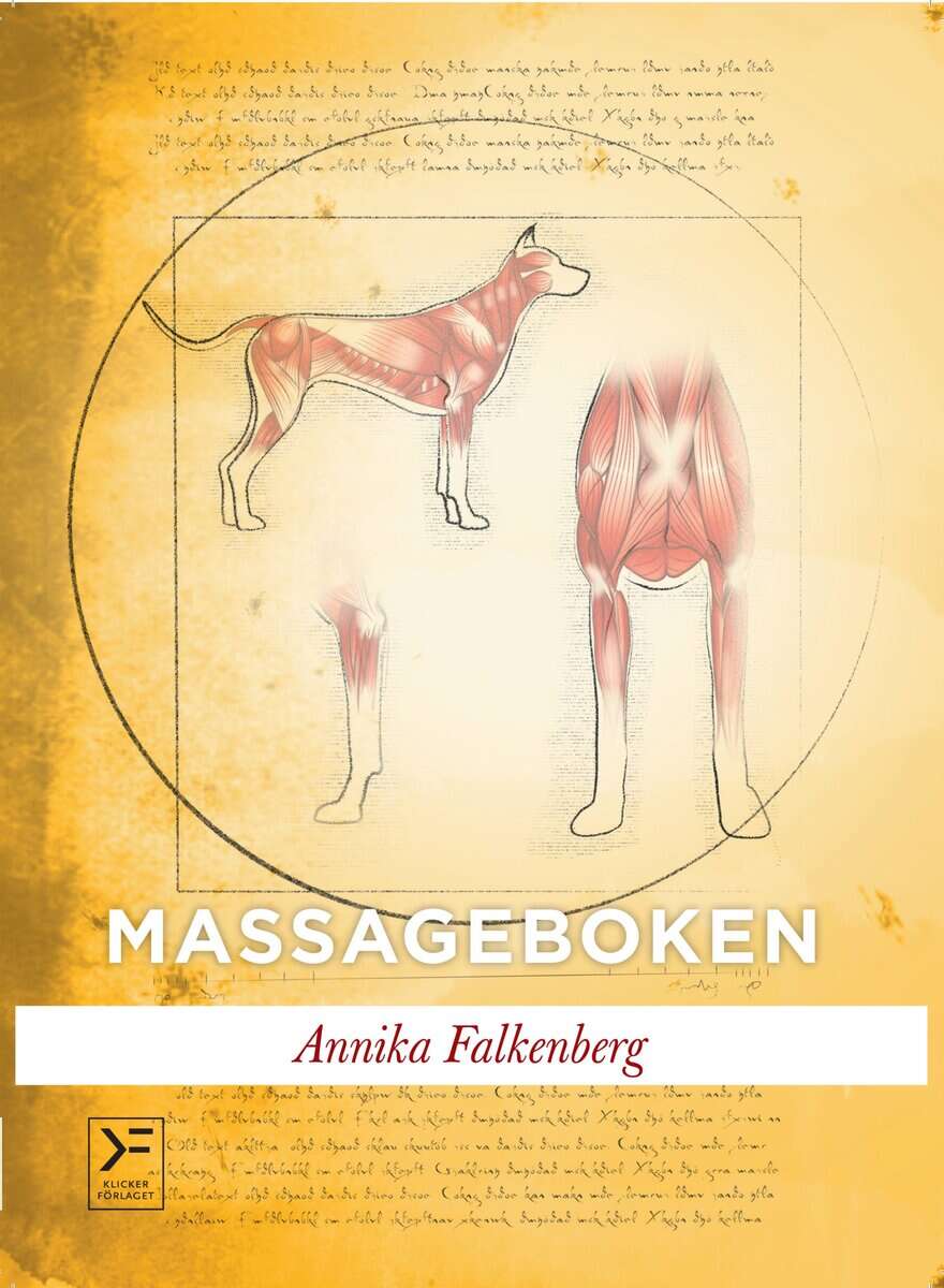 Annika Falkenberg : Massageboken