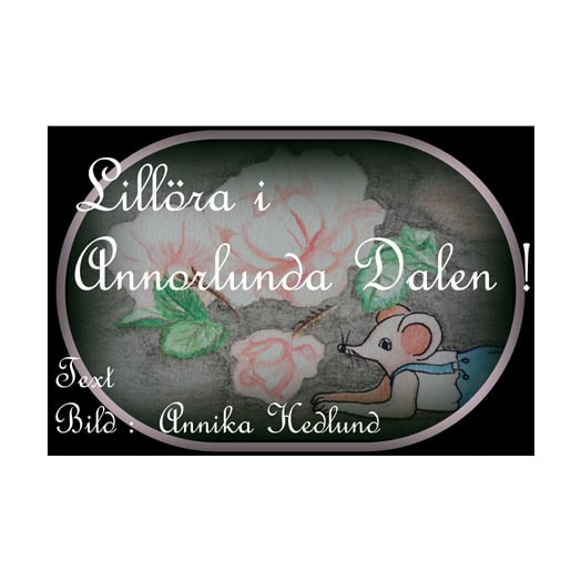 Annika Hedlund : Lillöra i Annorlunda Dalen! : 'alla bäckar små...' ; 'many a little makes a mickle...'