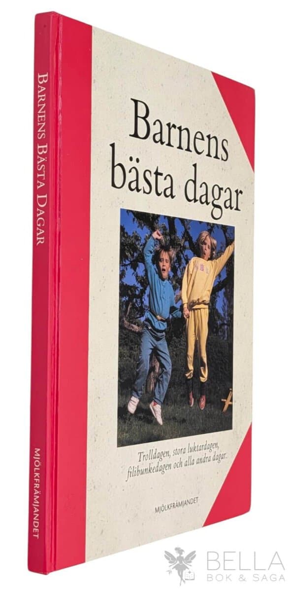 Annika Holmerin ; Gunilla Olsen : Barnens bästa dagar