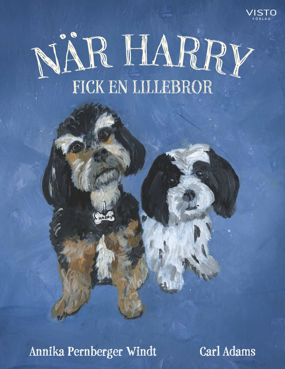 Annika Pernberger Windt : När Harry fick en lillebror