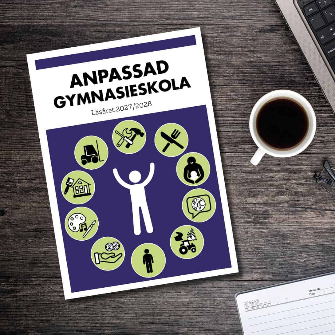 Anpassad gymnasieskola läsåret 2027/2028