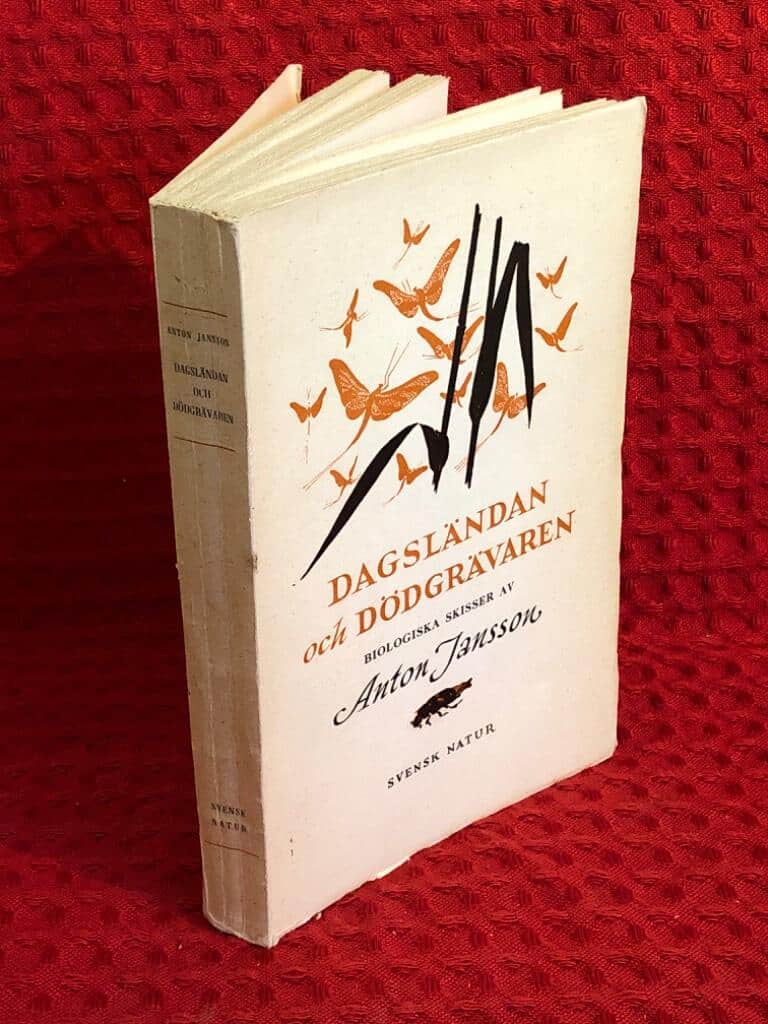 Anton Jansson : Dagsländan och dödgrävaren
