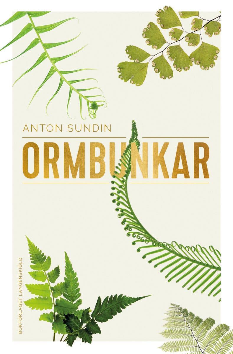 Anton Sundin : Ormbunkar