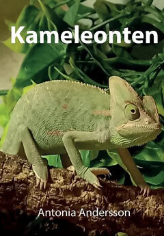 Antonia Andersson : Kameleonten
