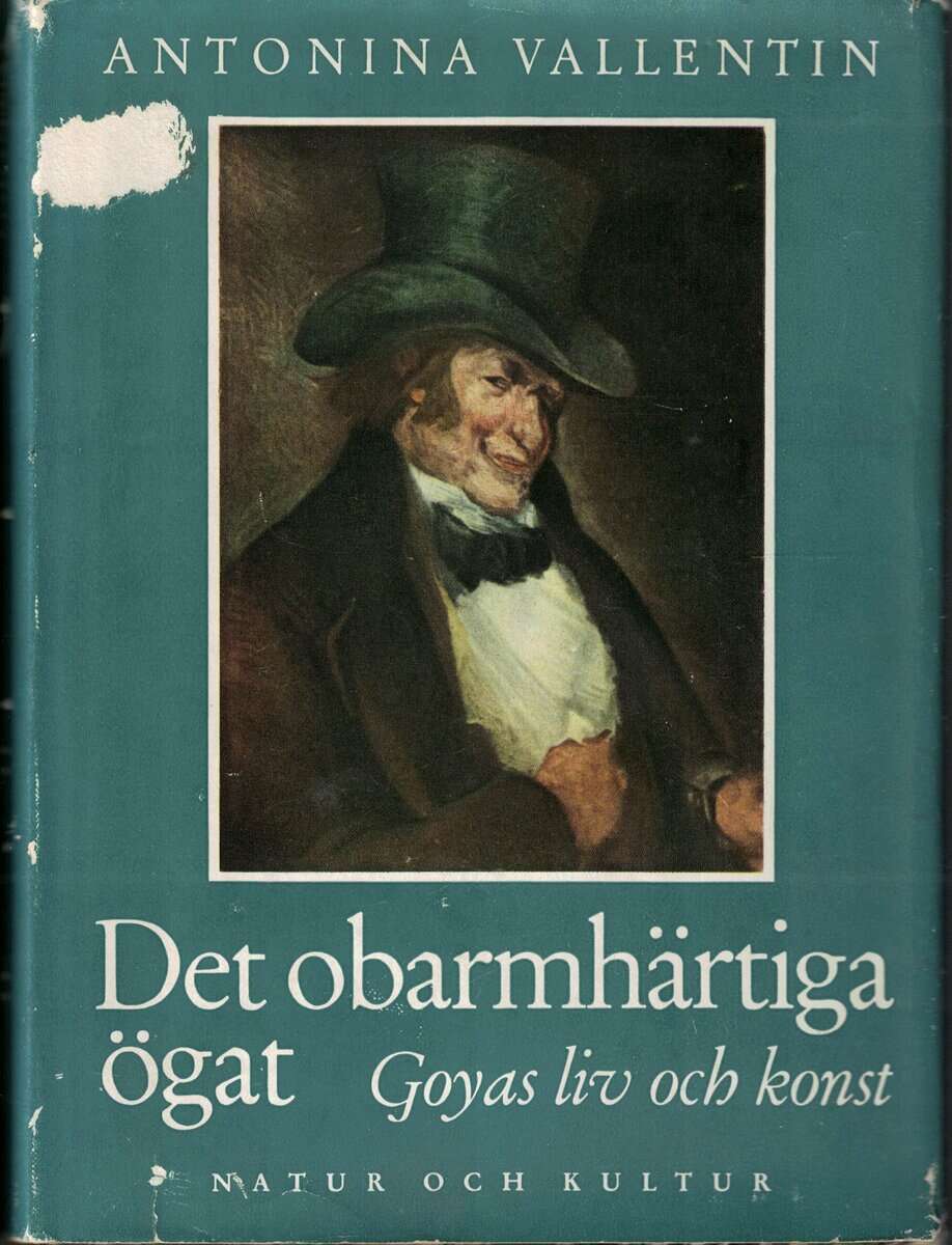 Antonina Vallenting : Det obarmhärtiga ögat. Goyas liv och konst