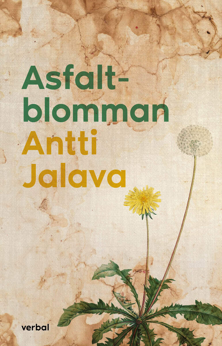 Antti Jalava : Asfaltblomman