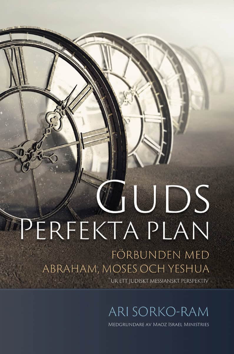 Ari Sorko-Ram : Guds perfekta plan