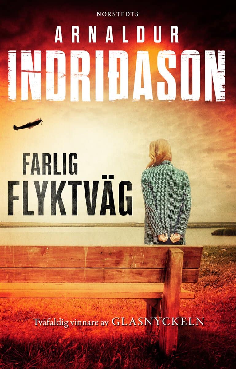 Arnaldur Indridason : Farlig flyktväg
