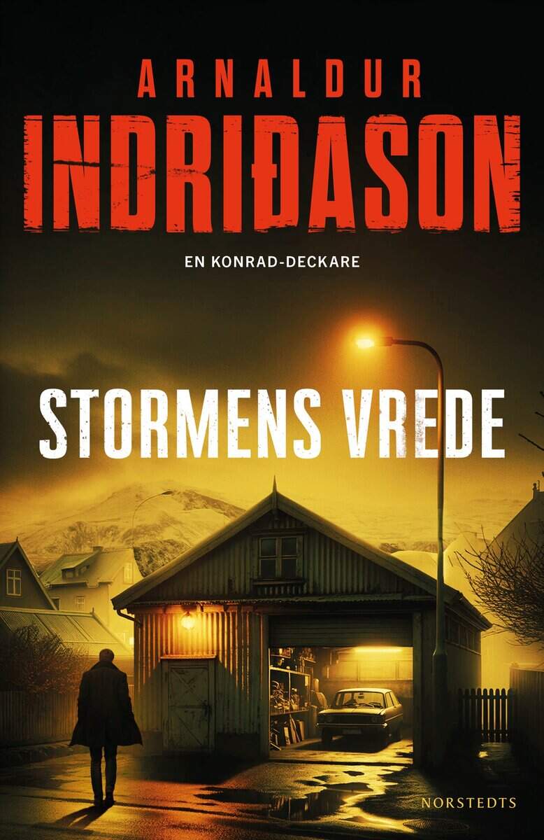 Arnaldur Indridason : Stormens vrede