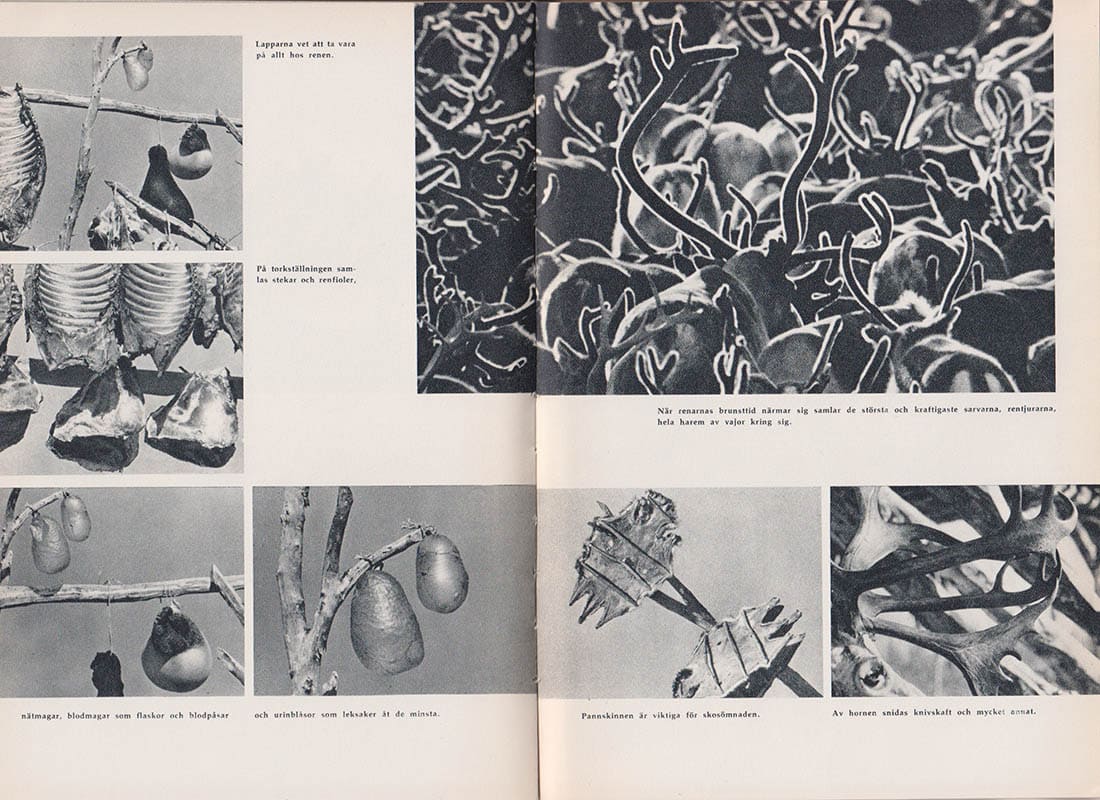 Arne Sucksdorff : Mark och människor