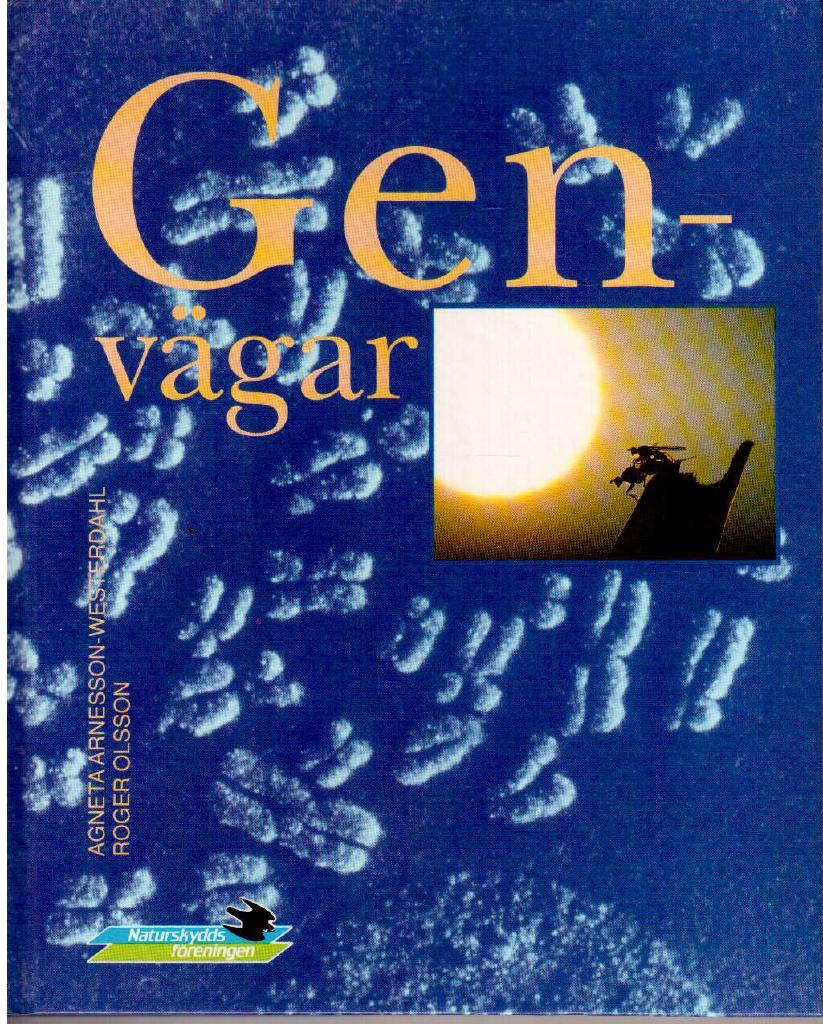 Arnesson-Westerdayl, Agneta ; Olsson, Roger : Genvägar