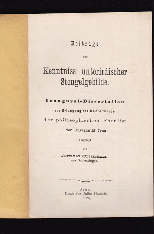 Arnold Ortmann : Beiträge zur Kenntniss unterirdischer Stengelgebilde. Inaugural-Dissertation ... der Universität Jena