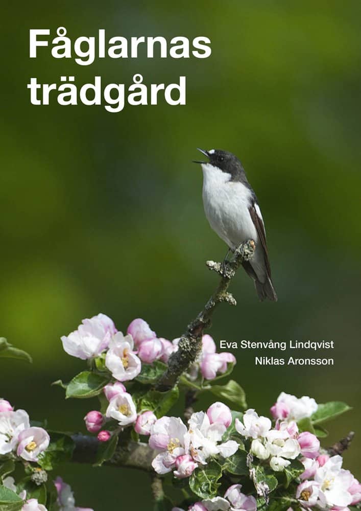 Aronsson, Niklas ; Stenvång-Lindkvist, Eva : Fåglarnas trädgård