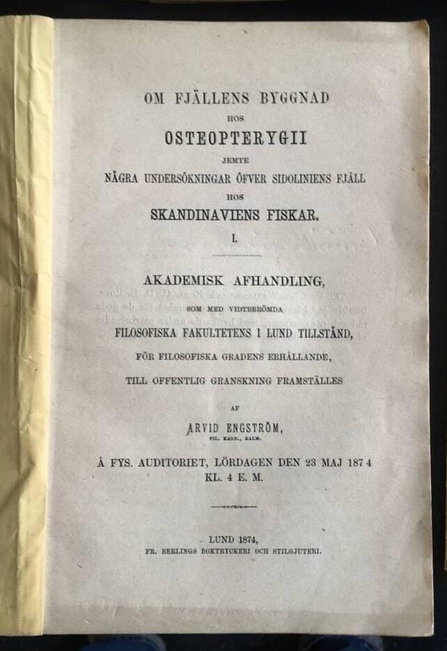 Arvid Engström : Om fjällens byggnad hos Osteopterygii...