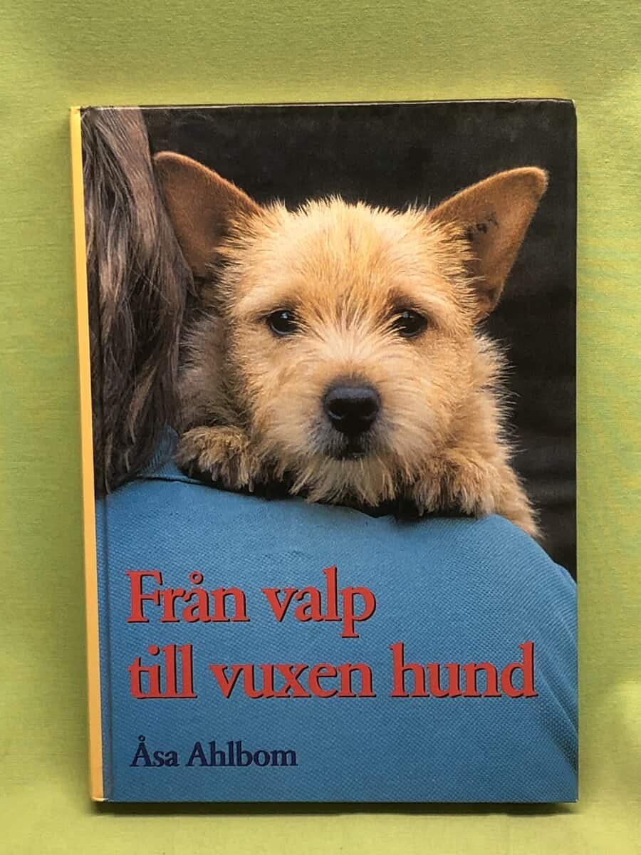 Åsa Ahlbom : Från valp till vuxen hund - del 1
