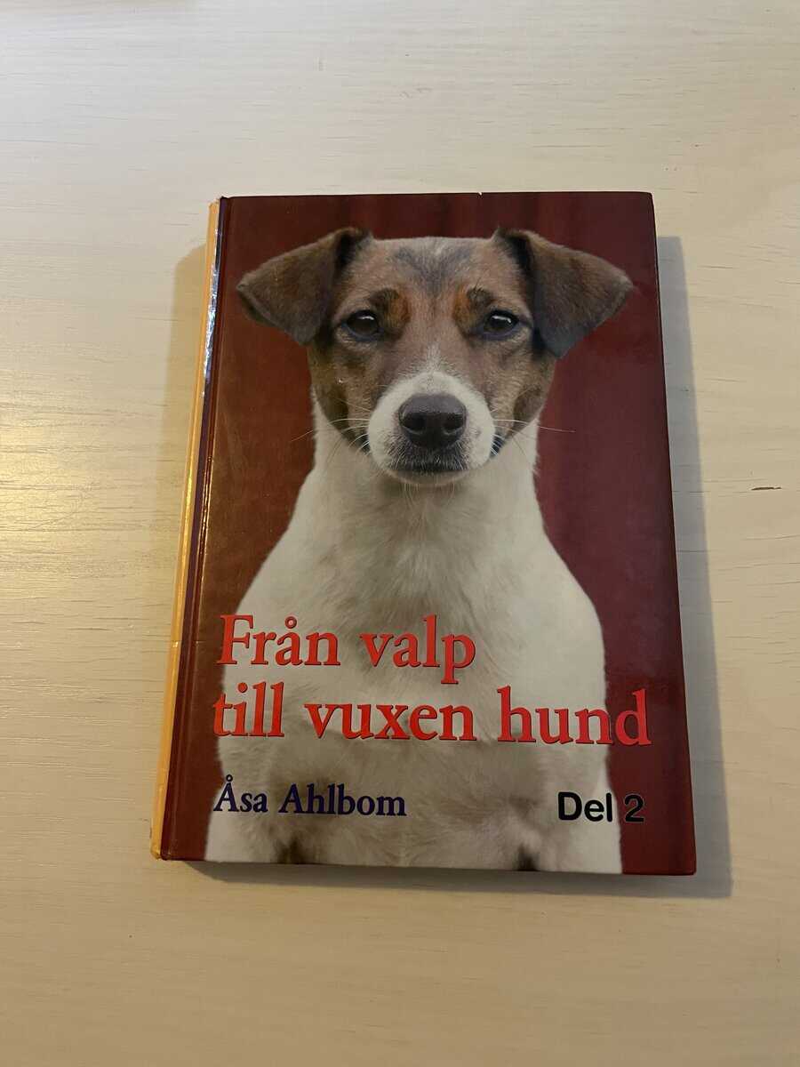 Åsa Ahlbom : Från valp till vuxen hund del 2