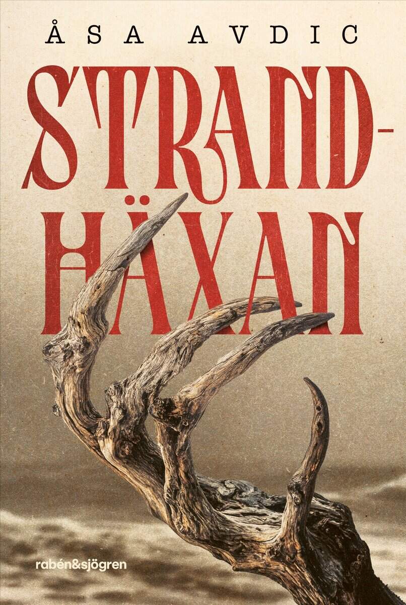 Åsa Avdic : Strandhäxan