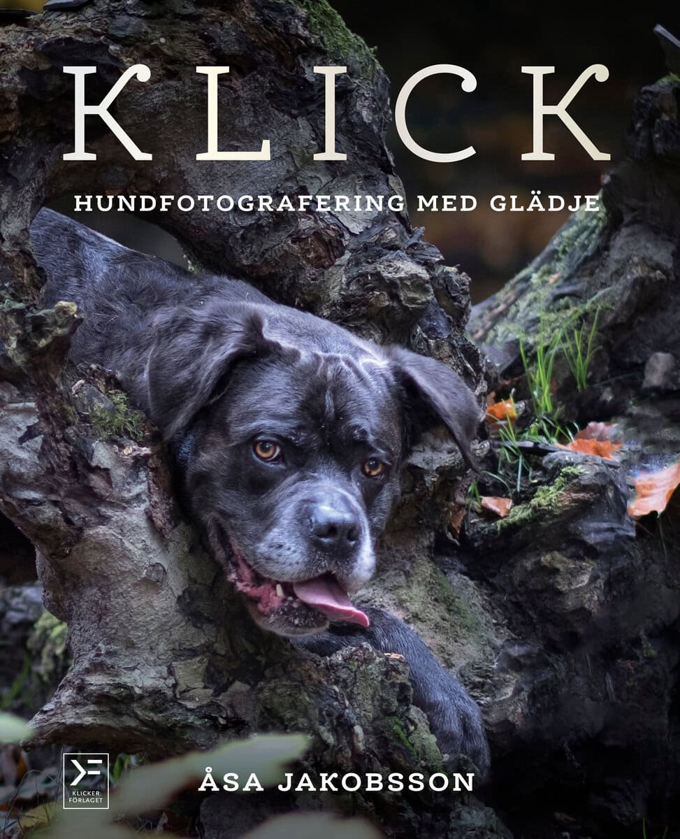 Åsa Jakobsson : Klick : hundfotografering med glädje