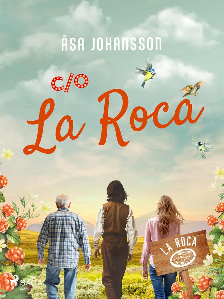 Åsa Johansson : C/O La Roca