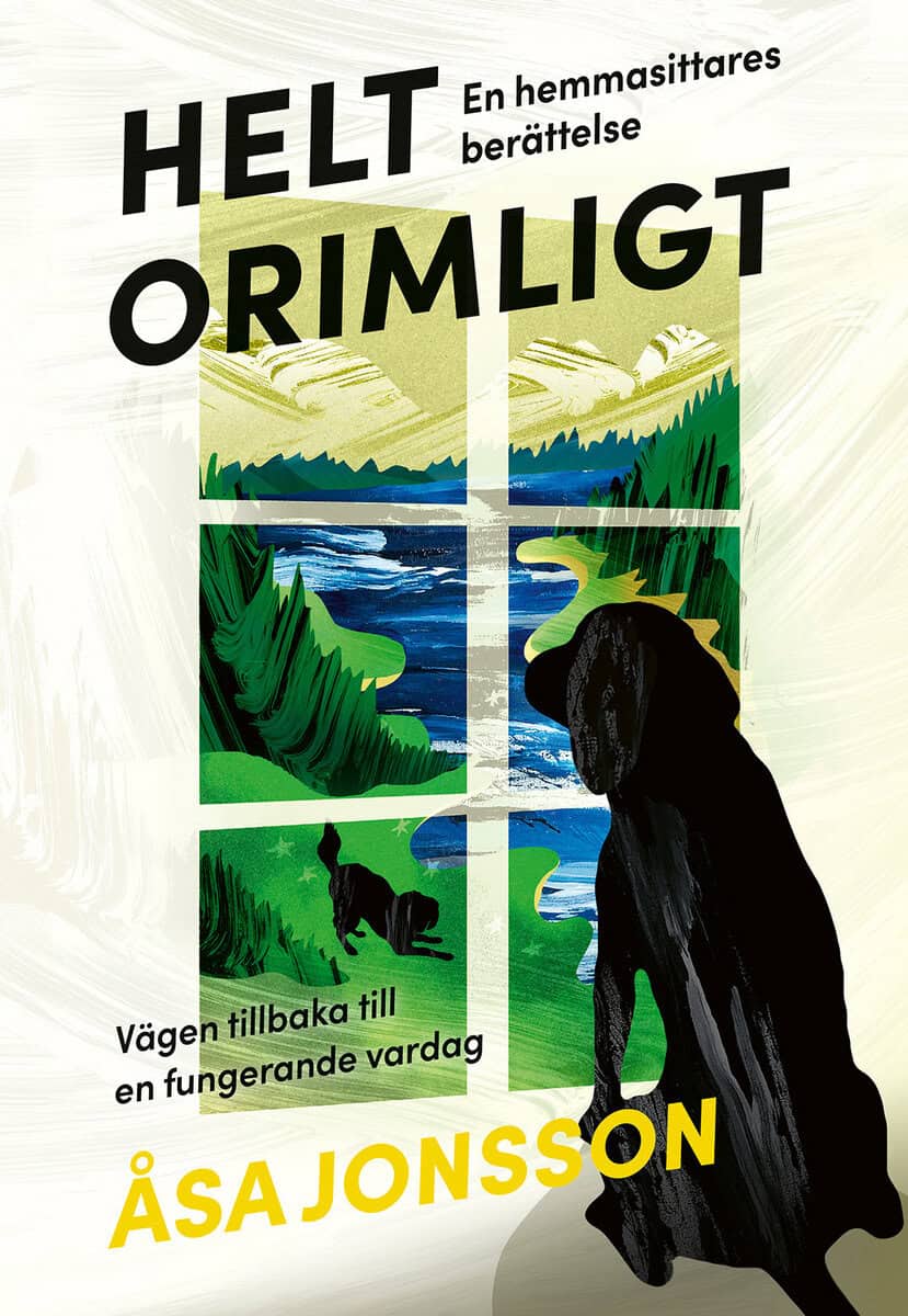 Åsa Jonsson : Helt orimligt - En hemmasittares berättelse