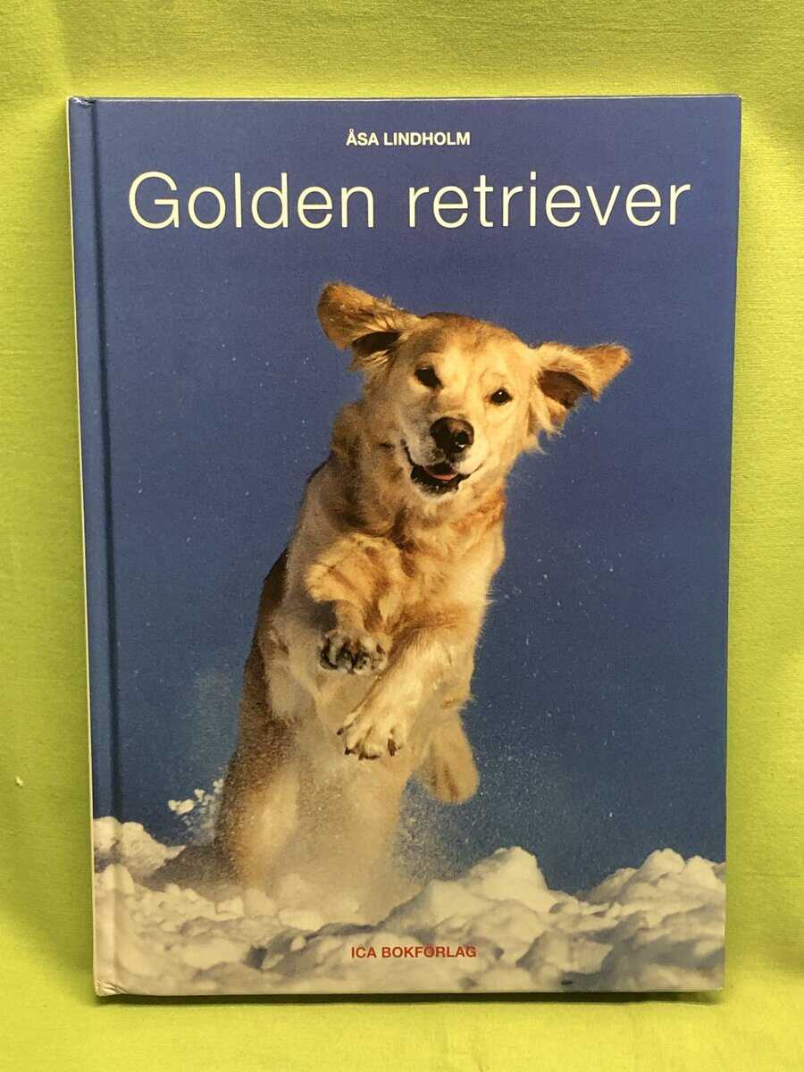 Åsa Lindholm : Golden retriever
