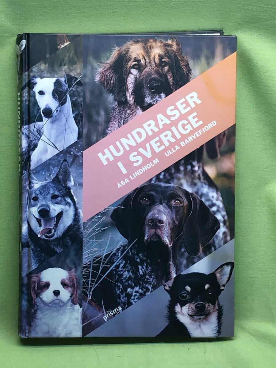 Åsa Lindholm : Hundraser i Sverige
